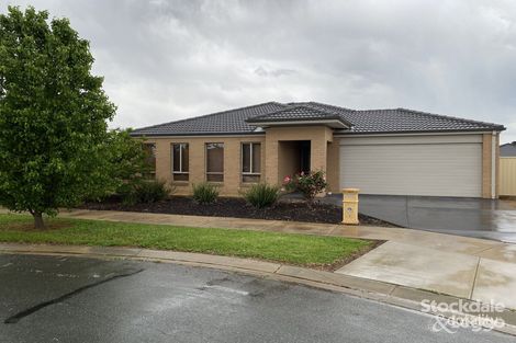 Property photo of 7 Edinburgh Court Shepparton VIC 3630