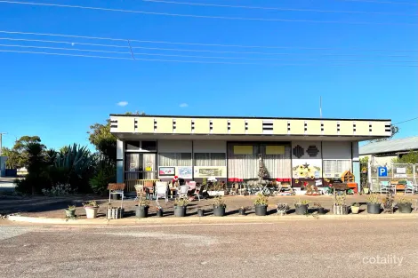 39 Thomas St, Minnipa, SA 5654