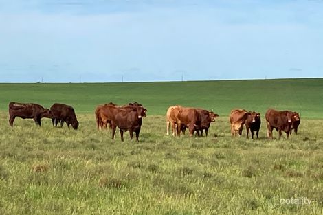 Property photo of LOT 592 Eyre Highway Ceduna SA 5690