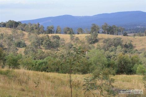 Property photo of 17-33 Trewin Road North Mundoolun QLD 4285