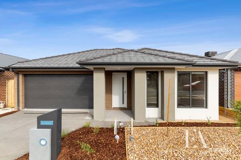 35 Edenhope Cct, Armstrong Creek, VIC 3217