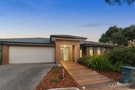 Property photo of 5 Eden Avenue Skye VIC 3977