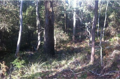 Property photo of 520 River Road Reedy Marsh TAS 7304