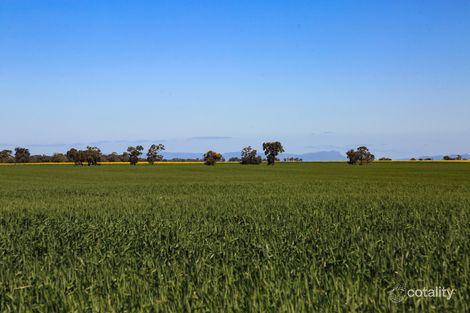 4848 Stawell-Warracknabeal Rd, Rupanyup, VIC 3388