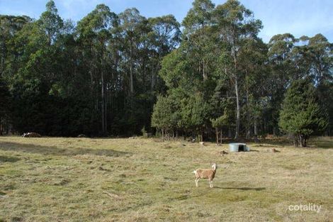 Property photo of 6 Wallsend Road Kaoota TAS 7150