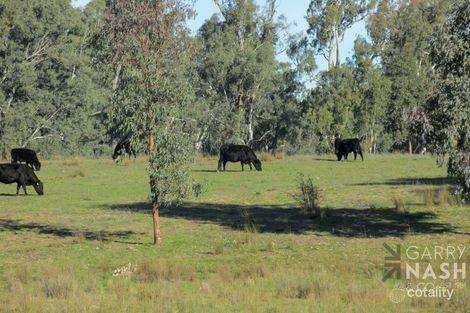 Property photo of Wonga Park Drive Waldara VIC 3678