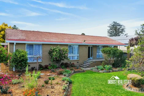 Property photo of 89 Perry Street Orbost VIC 3888