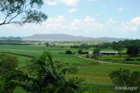 Property photo of 175 Olletts Road Habana QLD 4740