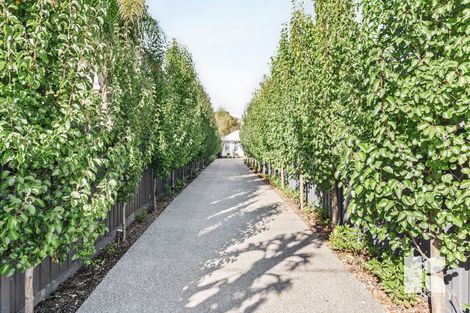 1/141 Aberdeen St, Newtown, VIC 3220