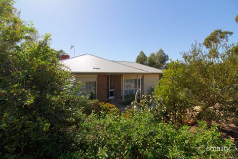 Property photo of 11 Westbrook Avenue Loxton SA 5333