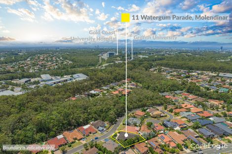 Property photo of 11 Watergum Parade Molendinar QLD 4214