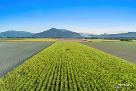 1 Napier Rd, Green Hill, QLD 4865