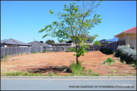 Property photo of 20 Turtle Rock Street Harrison ACT 2914