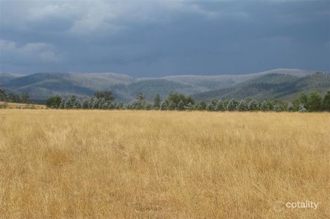 247 Buxton-Marysville Rd, Buxton, VIC 3711