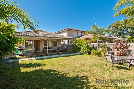 Property photo of 33A Day Road Northgate QLD 4013