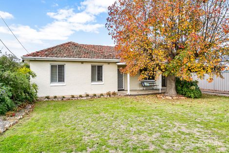 Property photo of 5 Salrak Avenue Marion SA 5043