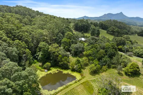 354 Kunghur Creek Rd, Kunghur Creek, NSW 2484