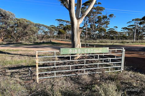 1345 Pingrup-Lake Grace Rd, Pingrup, WA 6343