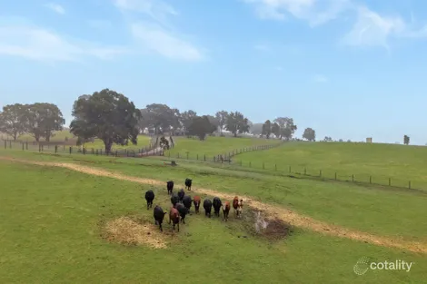 397 Cookes Hill Rd, Springton, SA 5235