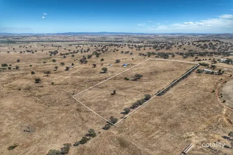 Property photo of 430 Pride Of Oak Road Canowindra NSW 2804