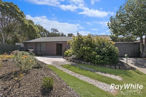 Property photo of 6 Magpie Street Modbury Heights SA 5092