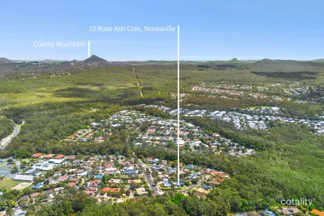 Property photo of 12 Roseash Crescent Noosaville QLD 4566