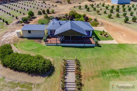 Property photo of 165 Black Georges Road Middlesex WA 6258