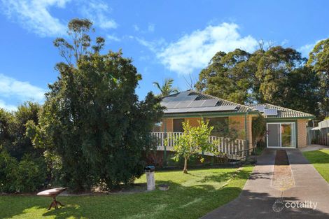 Property photo of 17 Peppertree Circuit Toronto NSW 2283
