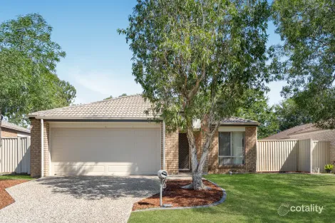 8 Holly Ct, Raceview, QLD 4305