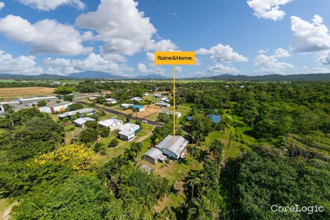 Property photo of 11 Walnut Street Goondi Hill QLD 4860