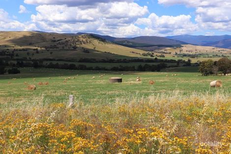 Lot 206 Tooma Rd, Tooma, NSW 2642