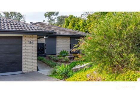 Property photo of 16 Burrawang Boulevard Toronto NSW 2283