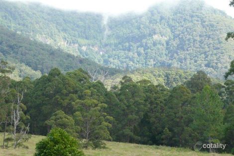 Property photo of 40 Pine Log Road Doon Doon NSW 2484