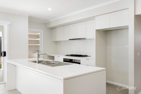 Property photo of 43 Austen Boulevard Spring Farm NSW 2570