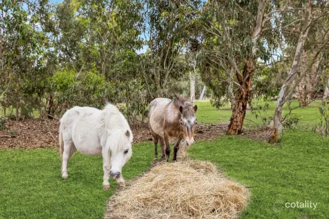49 Kangaroo Reef Rd, Mylor, SA 5153