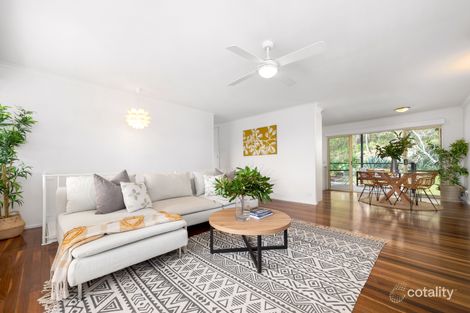 Property photo of 17 Rabaul Street Moorooka QLD 4105