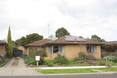 43 Ambleside Cres, Berwick, VIC 3806