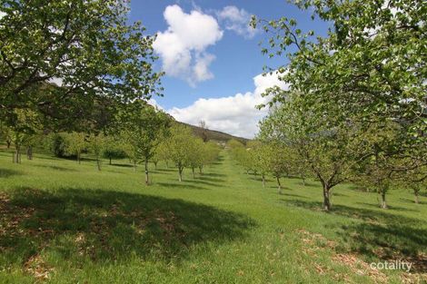 13 Shepheards Lane, Wandiligong, VIC 3744