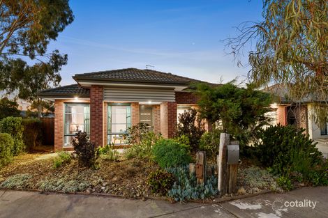 Property photo of 52 Warralily Boulevard Armstrong Creek VIC 3217