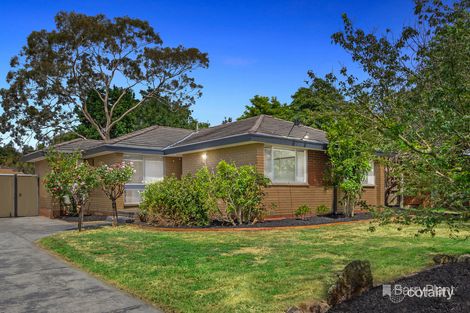 Property photo of 7 Falconer Crescent Bayswater North VIC 3153