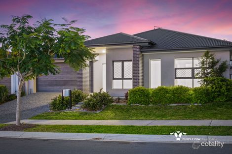 Property photo of 3 Danbulla Street South Ripley QLD 4306