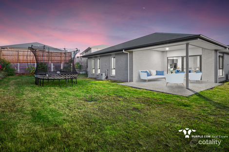 Property photo of 3 Danbulla Street South Ripley QLD 4306