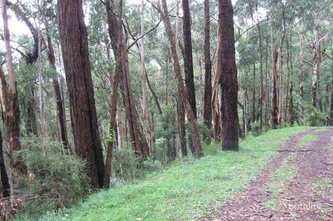 826 Don Rd, Mount Toolebewong, VIC 3777