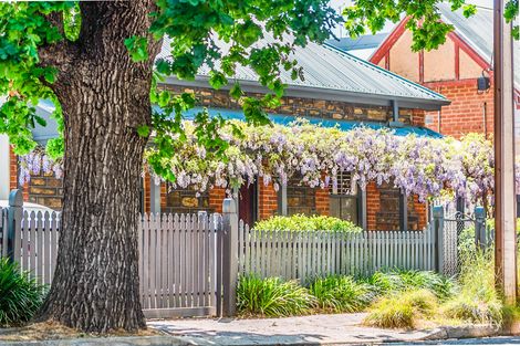 101 Sydenham Rd, Norwood, SA 5067