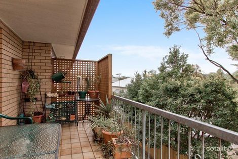 Property photo of 6/17 Silva Street Ascot QLD 4007