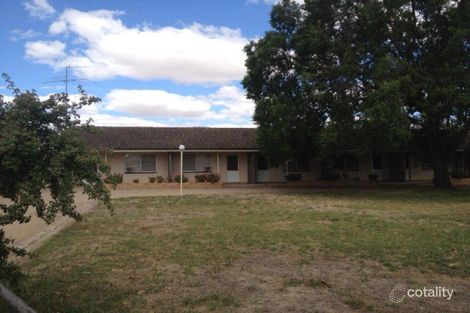 7/19 Allan St, Henty, NSW 2658