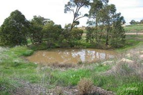 Property photo of 30 Foaling Ridge Bullsbrook WA 6084