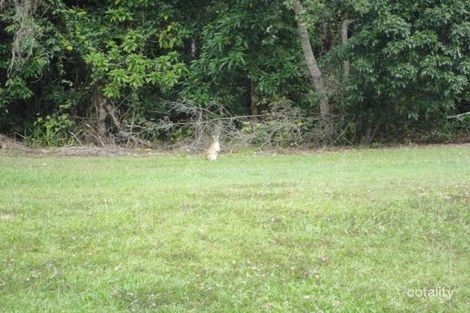 Property photo of 13 Muller Street Palm Cove QLD 4879