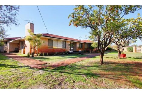 Property photo of 295 Morley Drive Dianella WA 6059