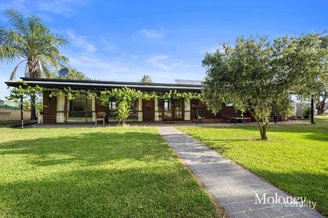 35 Enfield St, Corowa, NSW 2646